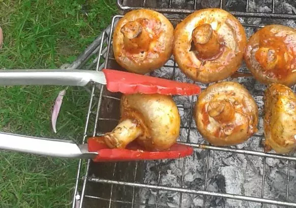 Ant žarijų kepti grill pievagrybiai