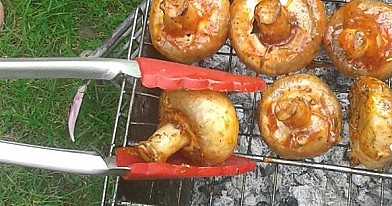 Ant žarijų kepti grill pievagrybiai
