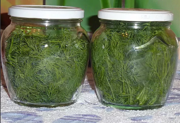 Šviežių krapų laikymas kelis mėnesius be šaldymo
