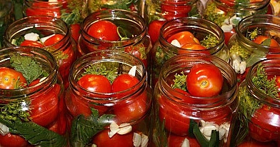Pomidorų konservavimas