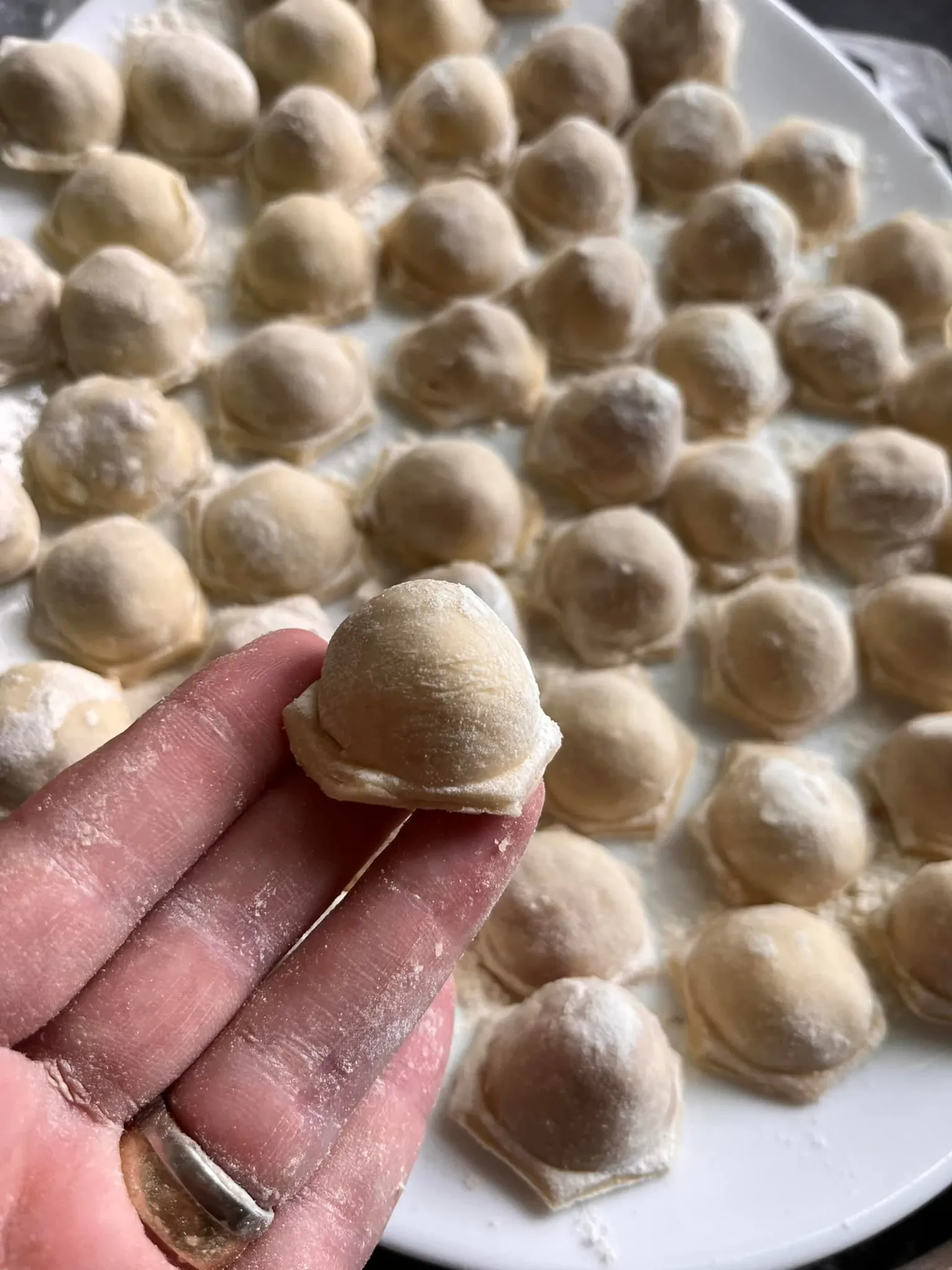 Veganiški virtinukai su tofu ir daržovėmis